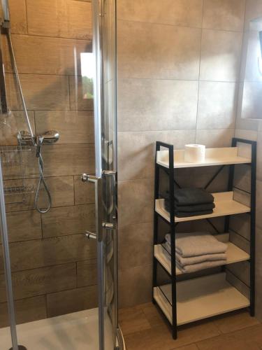 y baño con ducha y cabina de ducha acristalada. en Apartament Modrzewiowa przy S3, en Zielona Góra