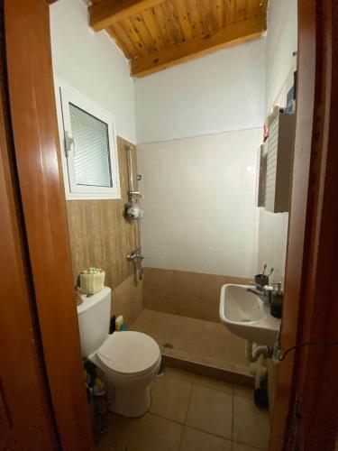 a bathroom with a toilet and a sink at Oasi in Salamina