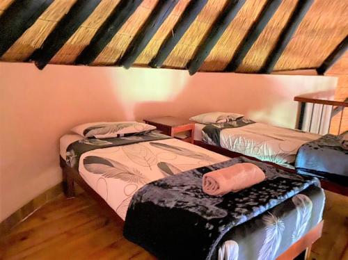 a room with two beds in a room at Family Lodge in Natural African Bush - 2115 in Bulawayo