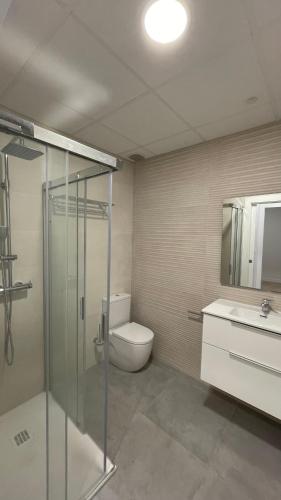 a bathroom with a shower and a toilet and a sink at Txoko Loft Moncayo in Tudela