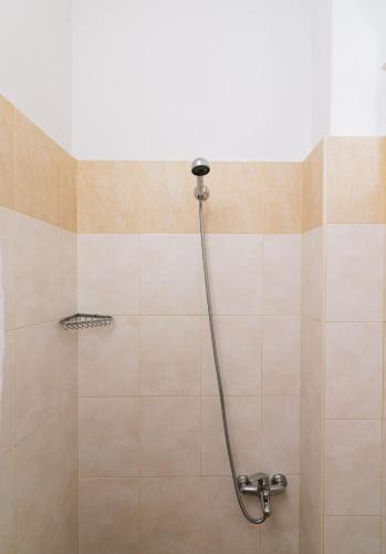 a shower with a hose in a bathroom at Myrtis Spa Hotel in Plakias