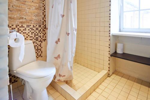 a bathroom with a toilet and a shower curtain at Mykolo Apartments in Vilnius