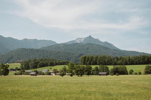 un prato erboso con montagne sullo sfondo di Hoamhaus a St. Wolfgang