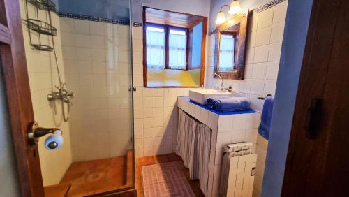 a bathroom with a shower and a sink and a mirror at La Higuerita in El Paso