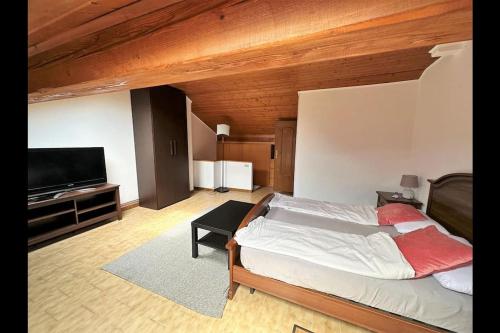 um quarto com uma cama e uma televisão de ecrã plano em Katty House - Dizzasco Lake Como em Muronico