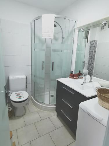 une salle de bain avec une douche, des toilettes et un lavabo dans l'établissement Plage des Chalets appartement T2+terrasse, à Gruissan