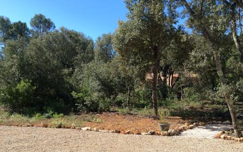 Au Petit Bueix – Photos 5