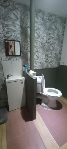 ein Bad mit WC und ein TV an der Wand in der Unterkunft Aline Pichereau in Channay-sur-Lathan