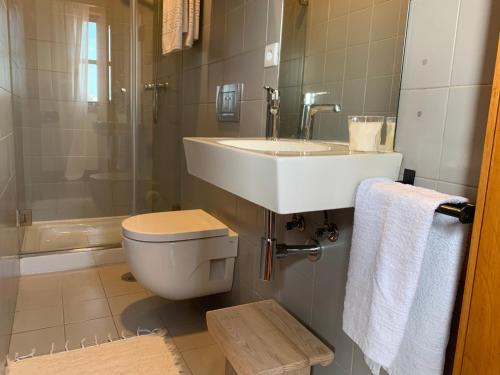 uma casa de banho com um WC, um lavatório e um chuveiro em Ferreira Borges Nomadic Ap A no Porto