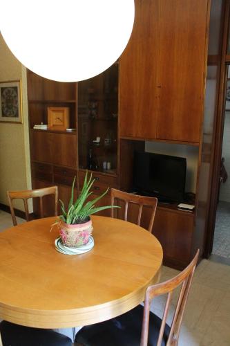 a wooden table with a potted plant on top of it at L'appartamento della Stazione di Saronno in Saronno