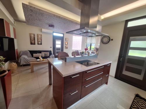 a kitchen and living room with a sink and a stove at Villa Maria in Haraki