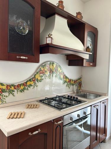 una cucina con piano cottura e lavandino di Villa Simona a Matonti
