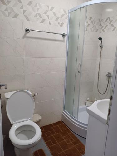 a bathroom with a toilet and a shower and a sink at Apartman Silver Lux Srebrno jezero in Veliko Gradište