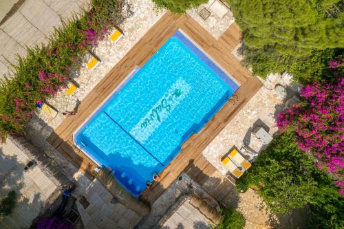 Πισίνα στο ή κοντά στο La Salvia Hotel Kas