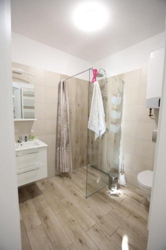 ParchowoにあるKaszuby To Tuのシャワーとトイレ付きのバスルーム