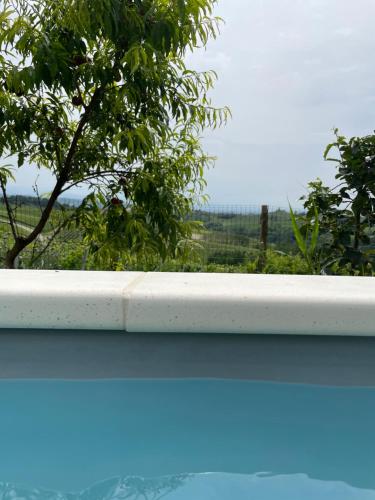 a window sill with a view of a tree at Agriturismo La Cà Veja in Monforte dʼAlba