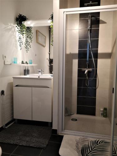 une salle de bain avec un lavabo blanc et une douche dans l'établissement Aux portes de Nantes, 2 pièces moderne et confortable, à Carquefou