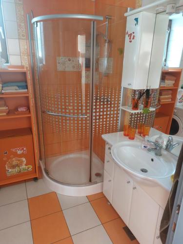 ein Bad mit einer Dusche und einem Waschbecken in der Unterkunft Apartma Vida in Videm pri Ptuju