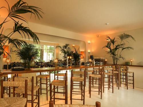 Apollo Palm Hotel في أثينا: بار في مطعم يوجد به كراسي ونباتات