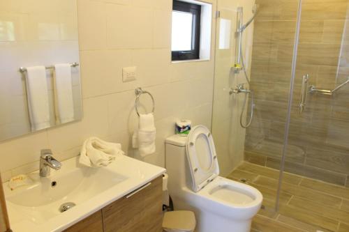 a bathroom with a toilet and a sink and a shower at Amar'e Aparthotel & Spa in Las Terrenas