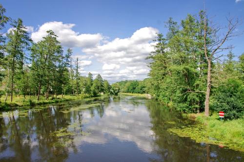 a river with trees on the side of it at Apartmán v podhůří Krušných hor in Sokolov