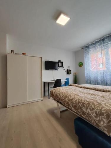 The Mural Studio Apartment in Rijeka