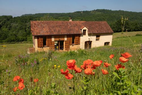 Příroda nedaleko bed and breakfast