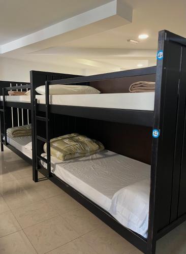 a group of bunk beds in a room at ALBERGUE CASTELOS VILALBA in Villalba
