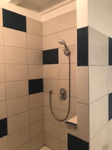 La salle de bains est pourvue d'une douche avec du carrelage noir et blanc. dans l'établissement L’ABSINTHE, à Bannans