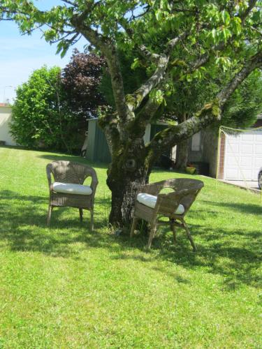 two benches sitting under a tree in a yard at Grand appartement dans villa avec parking quartier résidentiel in Joigny