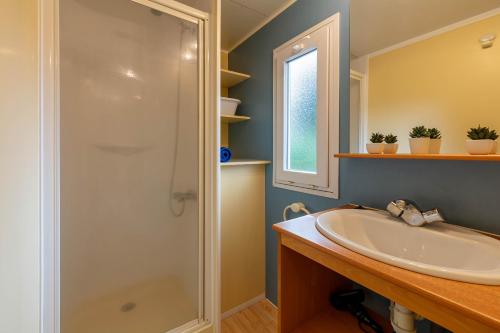 une salle de bain avec douche et lavabo dans l'établissement La Doucette, mobil-home climatisé au cœur du vignoble et à 50m de la mer, à Hyères