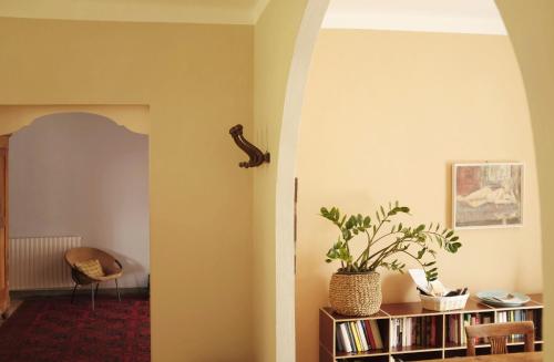 a living room with a plant on a book shelf at Villa d'Artisti in Sanremo