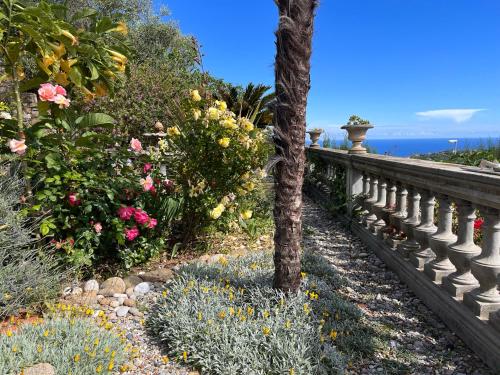 a garden with flowers and a fence and a palm tree at Villa d'Artisti in Sanremo