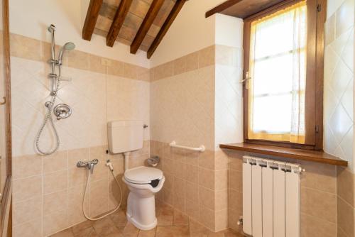 a bathroom with a shower with a toilet and a window at Pugnano Alto - Appartamento Tartufo in Lisciano Niccone