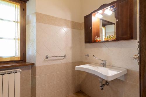 a bathroom with a sink and a mirror at Pugnano Alto - Appartamento Tartufo in Lisciano Niccone