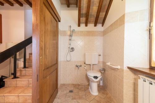 a bathroom with a toilet and a shower at Pugnano Alto - Appartamento Tartufo in Lisciano Niccone