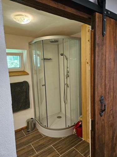 eine Dusche im Bad mit einer Duschkabine aus Glas in der Unterkunft Fewo VOR DEM BERG in Bergstraße