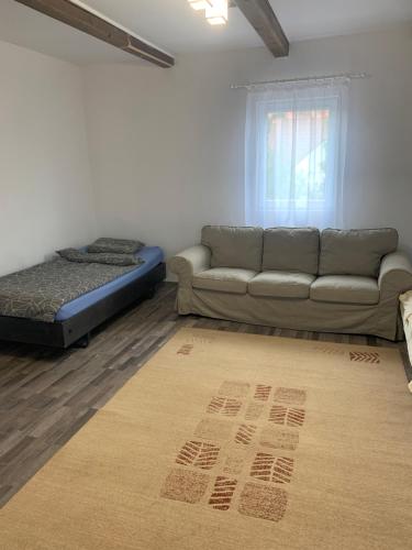 sala de estar con sofá y cama en Camere de închiriat în localitatea Dănești, en Dăneşti