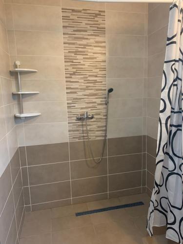 a shower in a bathroom with a shower curtain at Camere de închiriat în localitatea Dănești in Dăneşti