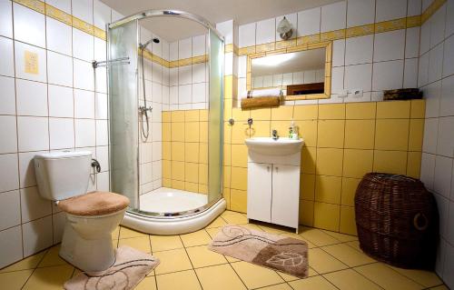 ein Bad mit einer Dusche, einem WC und einem Waschbecken in der Unterkunft Gościniec Pod Bukiem in Świeradów-Zdrój