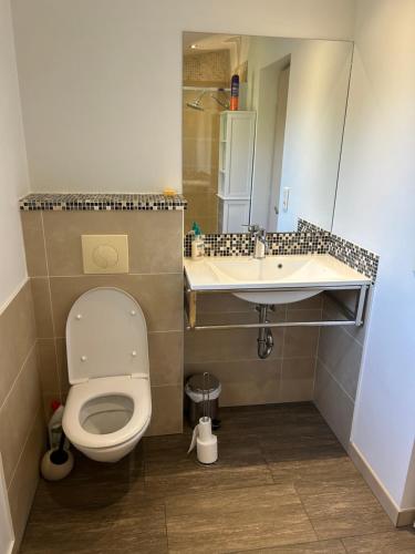 une salle de bain avec toilettes et lavabo dans l'établissement Entre Mer et Montagne, à Venzolasca