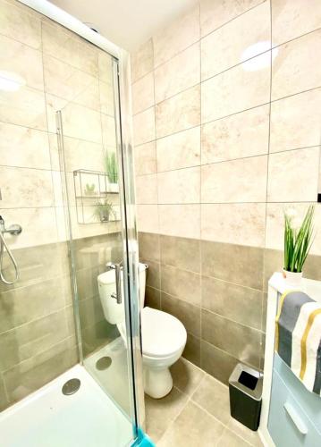 une salle de bain avec toilettes et douche en verre dans l'établissement Gîte cosy entre Bordeaux et Lacanau, à Sainte-Hélène