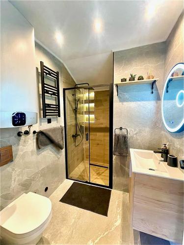 a bathroom with a shower and a toilet and a sink at Aqua Casa in Vrnjačka Banja