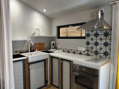 une petite cuisine avec un évier et une cuisinière dans l'établissement L'Annexe du Moulin, à Noyers-sur-Cher