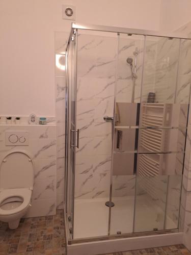 een badkamer met een douche en een toilet bij Cabana Elyana Mraconia in Eşelniţa