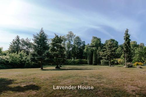 a large grass field with trees in the background at Lavender House in Osieki
