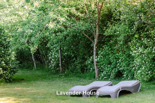 a group of benches sitting in the grass at Lavender House in Osieki