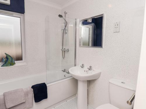 a white bathroom with a sink and a shower at Handale Banks Farm Lodge in Saltburn-by-the-Sea