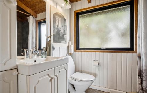 een badkamer met een toilet, een wastafel en een raam bij Gorgeous Home In Fan With Kitchen in Fanø
