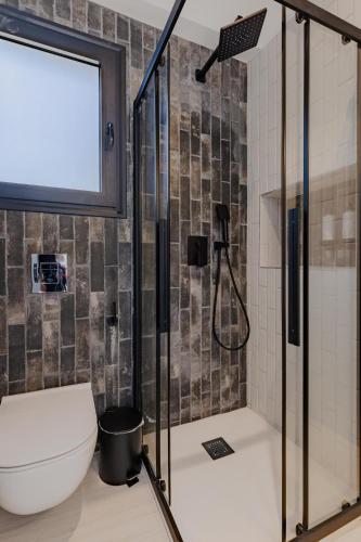 a bathroom with a shower and a toilet at Villa Aktio in Paleros